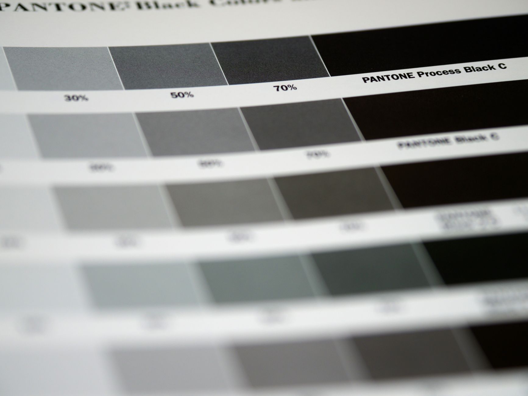 Detailed close-up of Pantone black color swatches, featuring various shades and percentages.