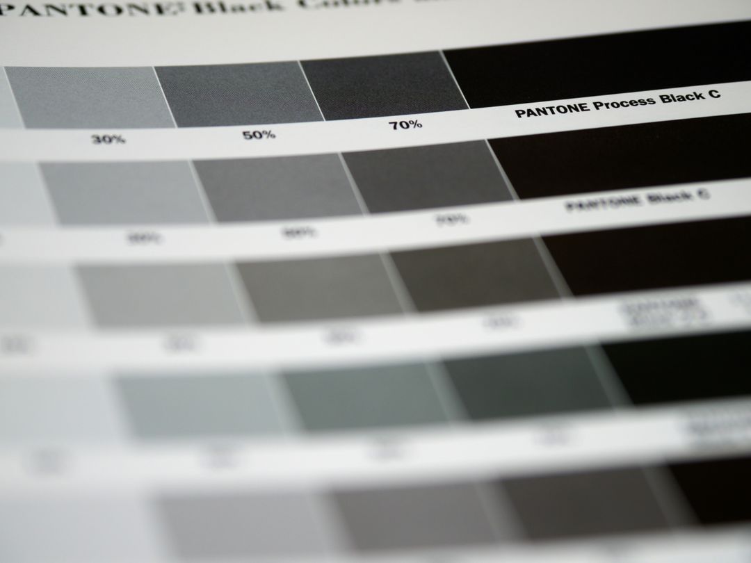 Detailed close-up of Pantone black color swatches, featuring various shades and percentages.