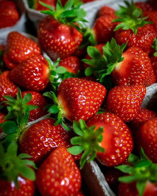Close-Up Shot of Strawberries 