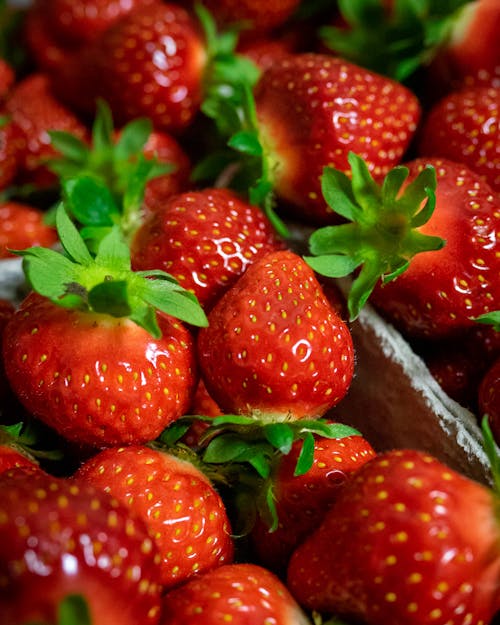 Close-Up Shot of Fresh Strawberries