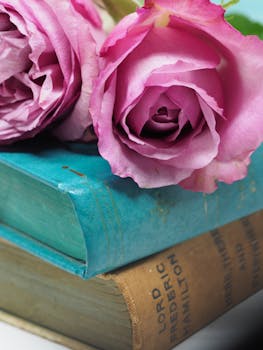 粉红玫瑰在复古书籍上的特写，象征着浪漫和怀旧