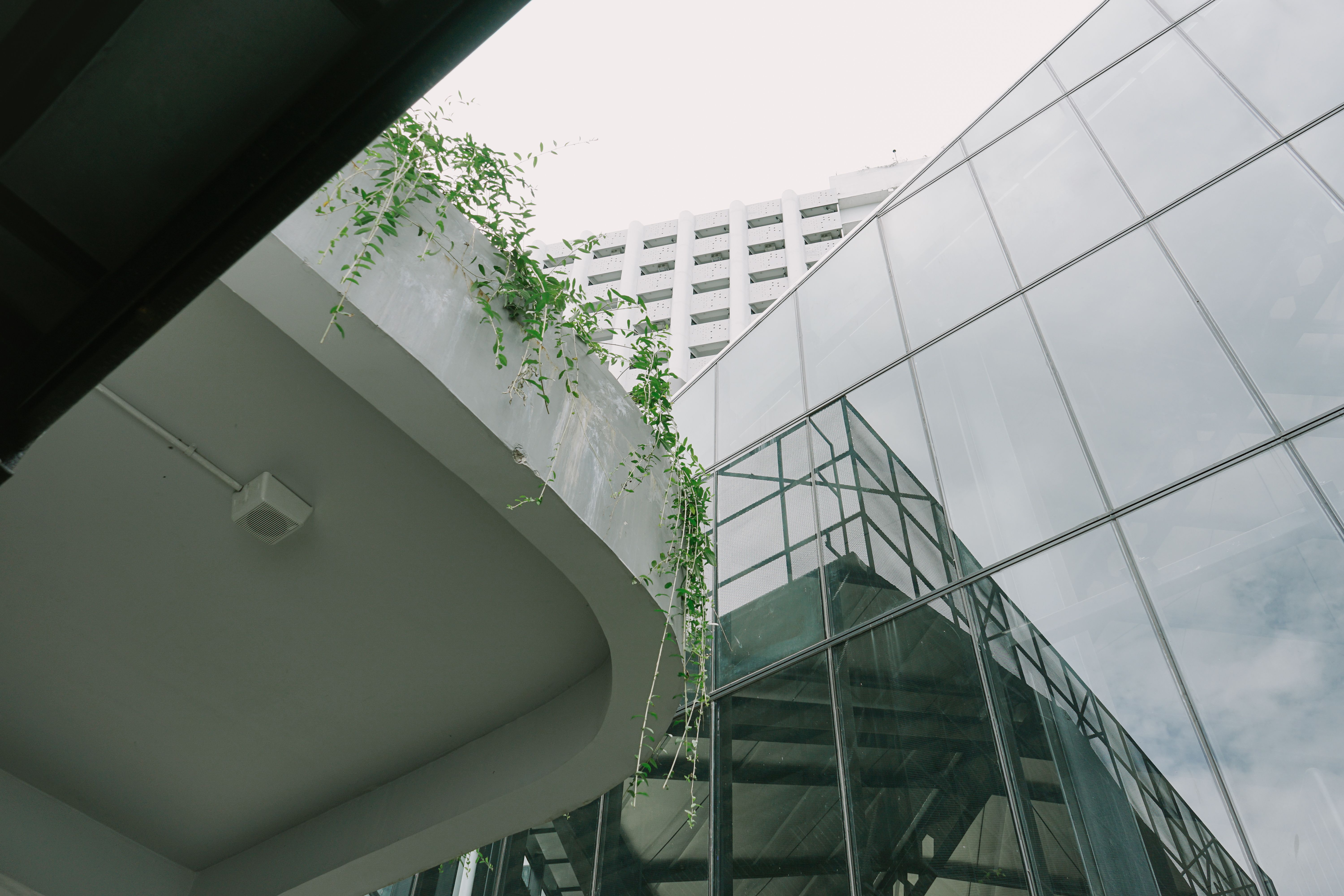 Low Angle Shots: A Simple Guide for Better Photos