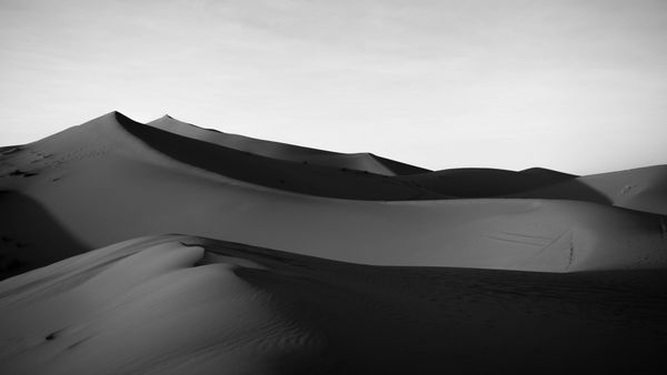 Stunning monochrome photograph capturing serene sand dunes in a vast des — Photo by Diana Smykova on Pexels