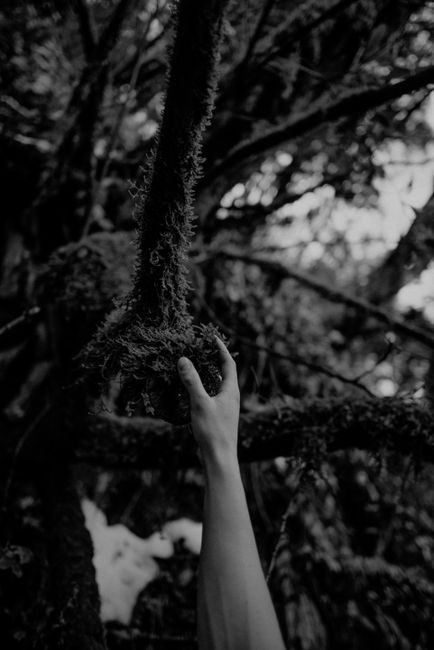 Black and white photo of a hand holding a moss-covered tree branch.