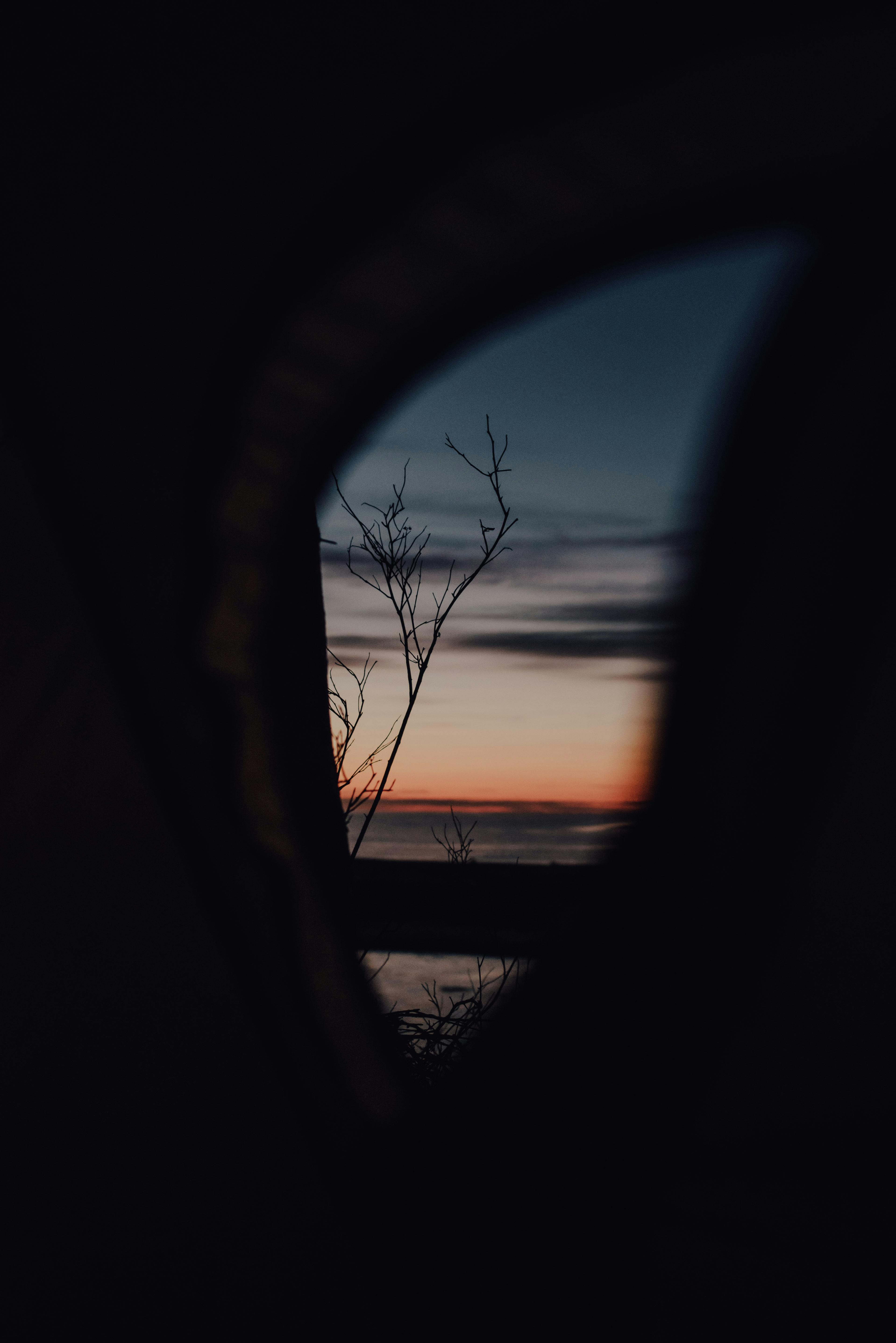 Silhouette of a bare tree captured through a window at sunset, creating a dramatic scene.