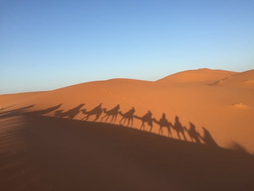 Brown Sand Dunes under Blue Sky