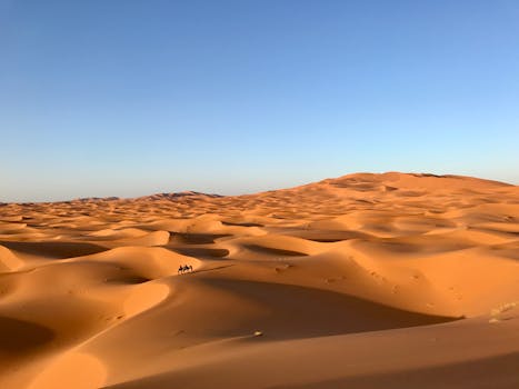 Expansive dunes under a clear blue sky in Egypt's Al Wahat Al Dakhla Desert.