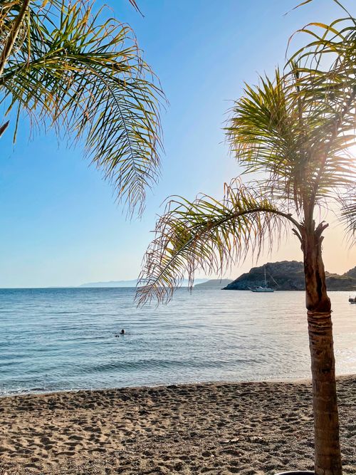 Free A tranquil beach scene with palm trees, sand, and a swimmer at sunset. Stock Photo