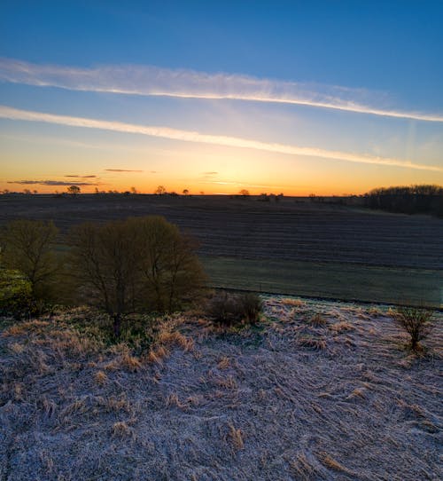 Free A Field during Sunset Stock Photo