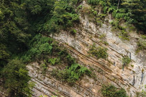 Free Aerial view of lush greenery covering a rocky mountain cliff in Mazandaran, Iran. Stock Photo