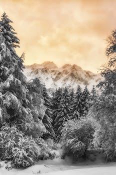 白雪覆盖的森林和山区景观中，冬季日出令人叹为观止