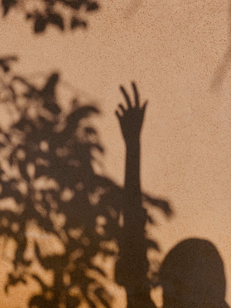  Person Raising Hand  Near The Tree