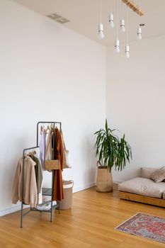 Stylish minimalist room featuring clothes rack, greenery, and modern decor.