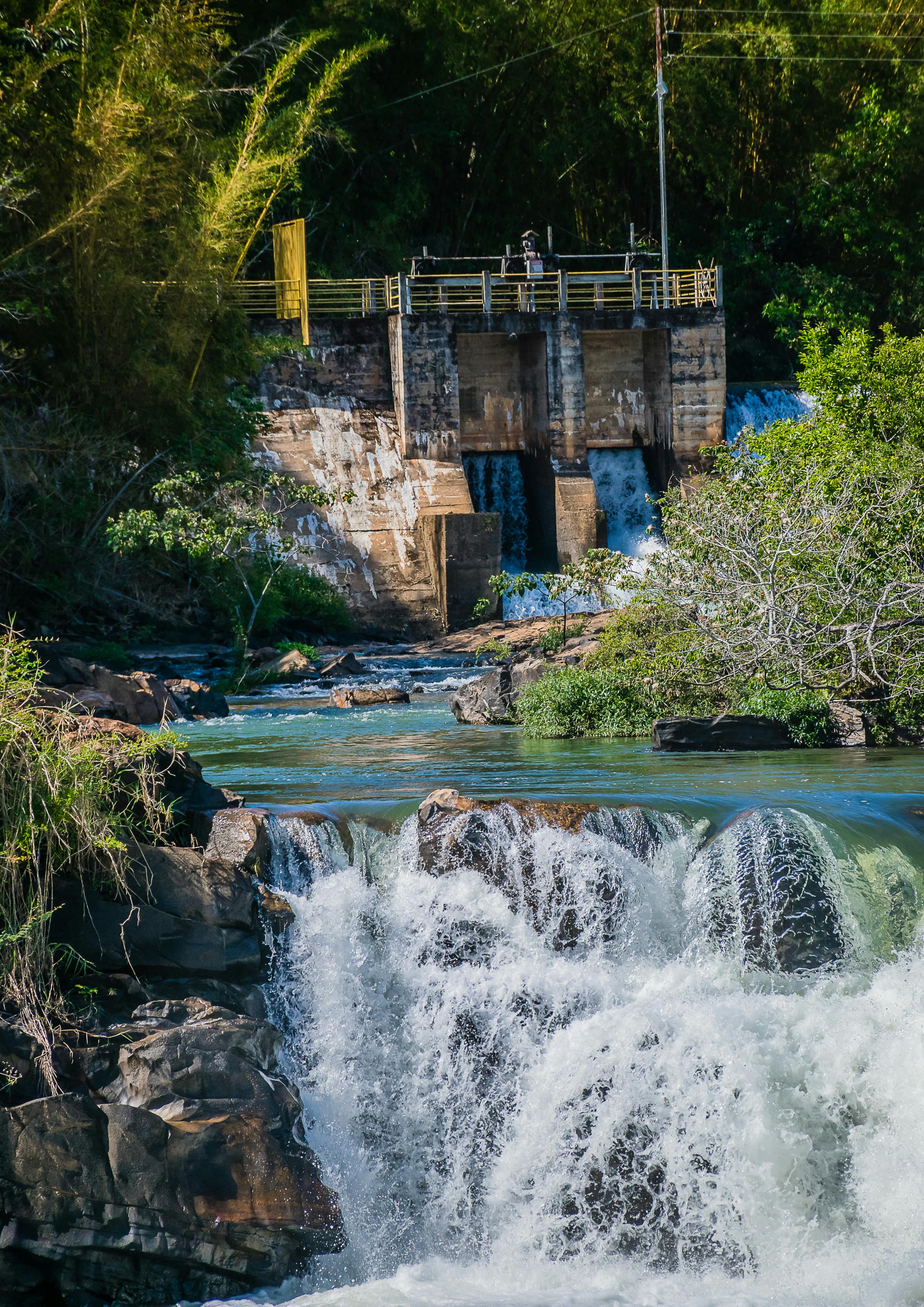Assortment of packaged snack foods and sugary drinks