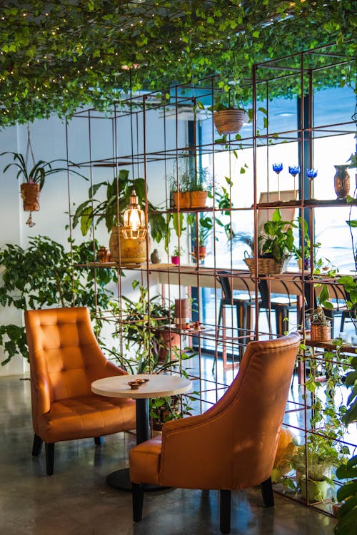 бесплатная Фотография стола и стульев возле растений Стоковое фото