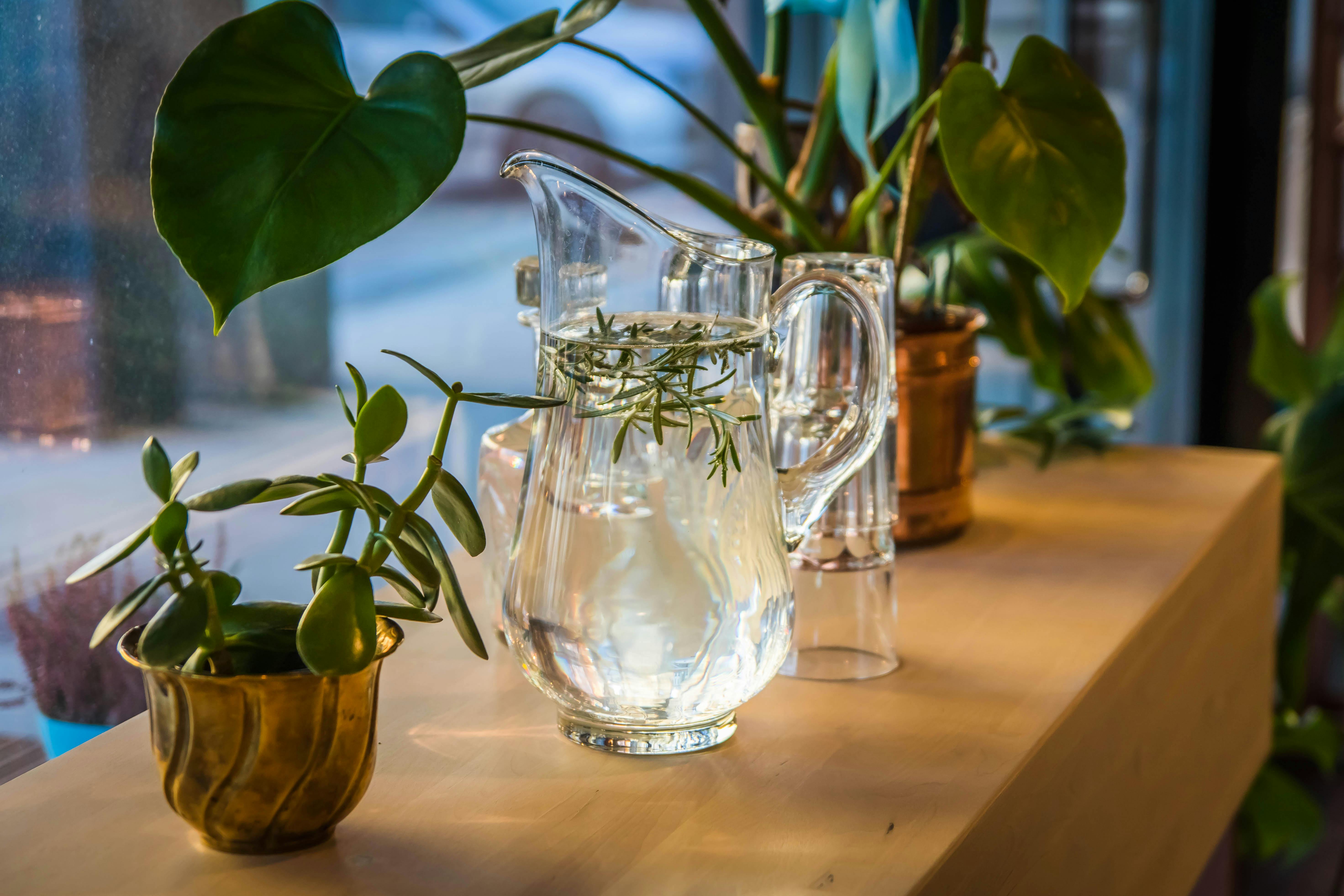 Growing plants, garden theme