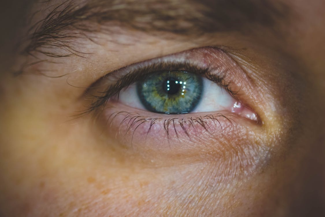 Free Human Eye Stock Photo