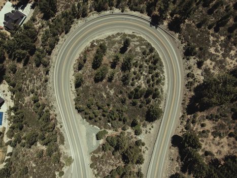 Prächtige Automobil-Aufnahme mit Wald & Straße