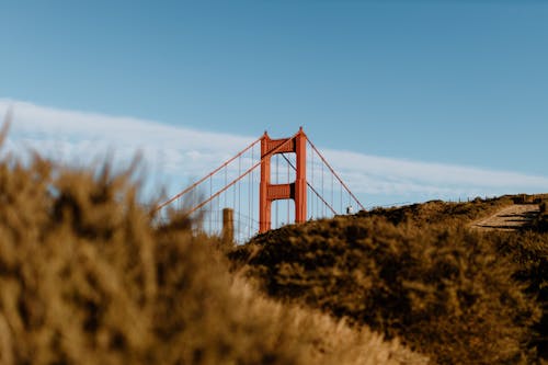 Modern famous suspension Golden Gates located near slopes covered with grass against blue sky in San Francisco on sunny day