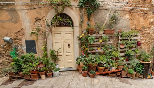 Free  Wall with White Door and Potted Plants Stock Photo