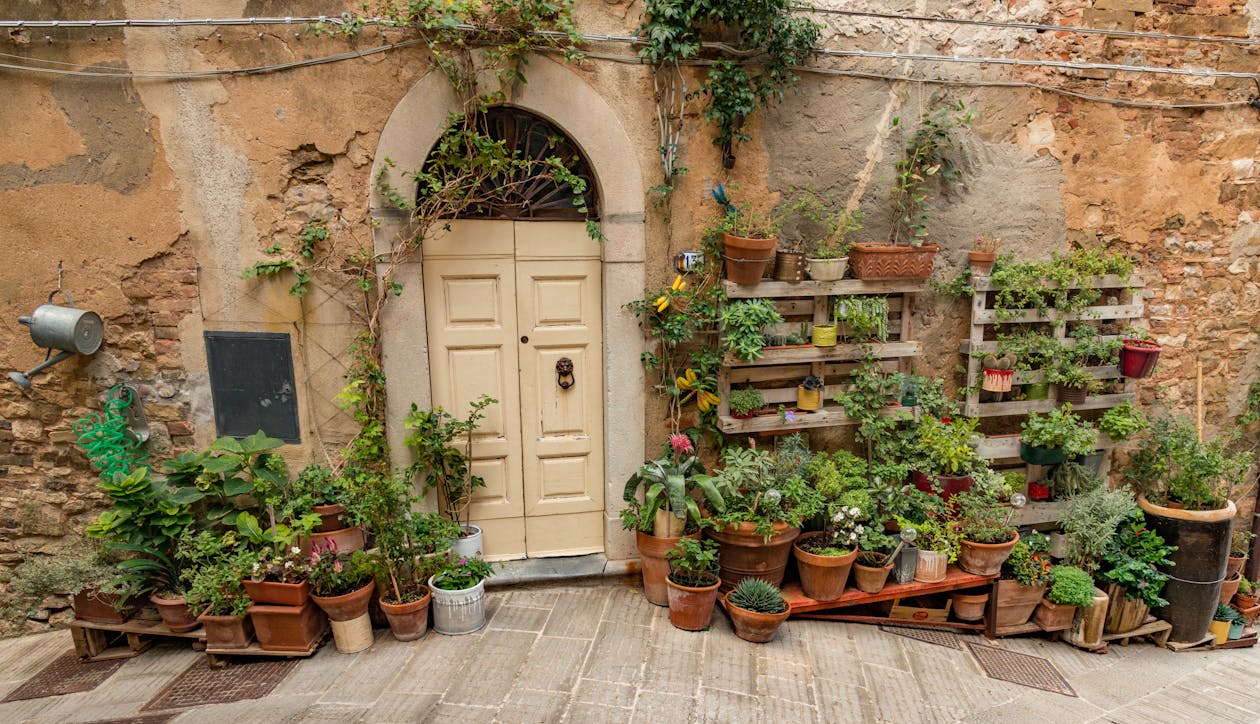  Wall with White Door and Potted Plants