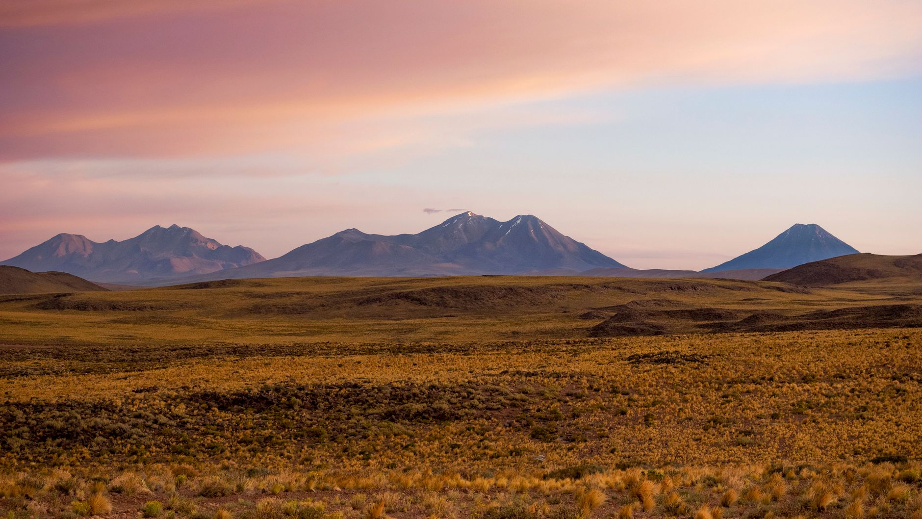 Atacama Desert, Chile