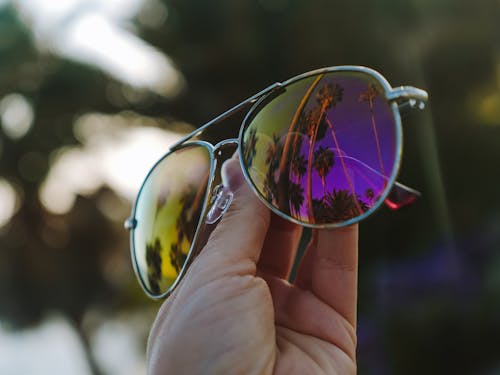 Person Holding a Sunglasses