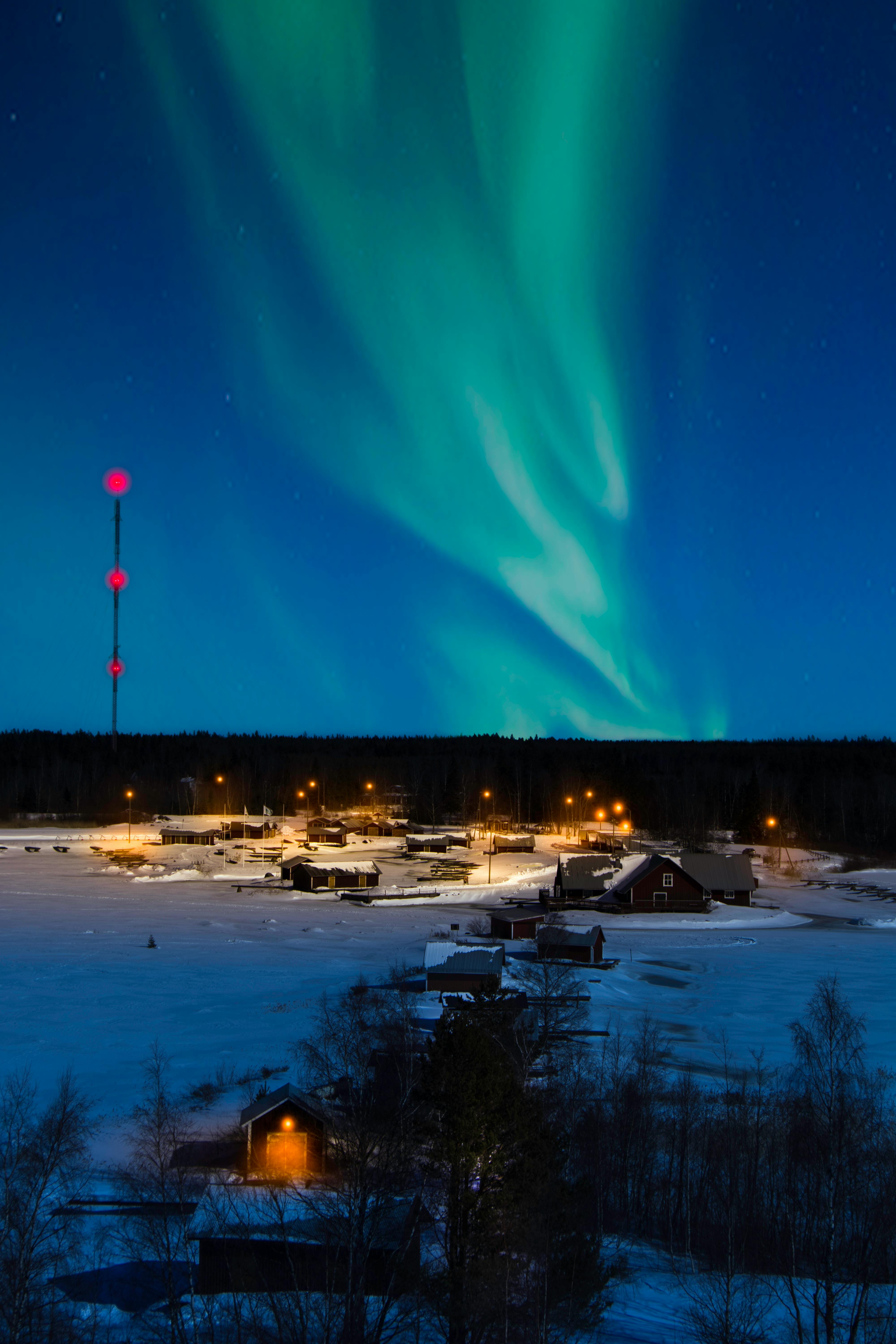 Foto de stock gratuita sobre aurora boreal, auroras boreales, escénico,  fenómeno, fondo de pantalla, fondo de pantalla de alta definición,  invierno, tiro vertical