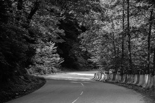 Základová fotografie zdarma na téma asfalt, betonové bariéry, černobílý