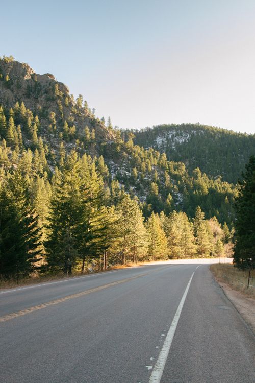 Free Captivating view of an empty road winding through a lush evergreen forest in Colorado's mountains. Stock Photo