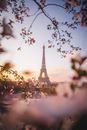 Eiffel Tower in Paris during Sunset