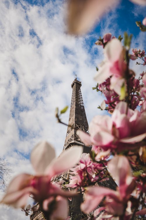 Low-Angle Shot of the Eiffel Tower 