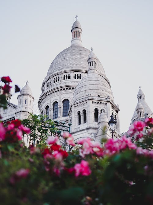 Free Flowers Near Basilica of the Sacred Heart of Paris Stock Photo