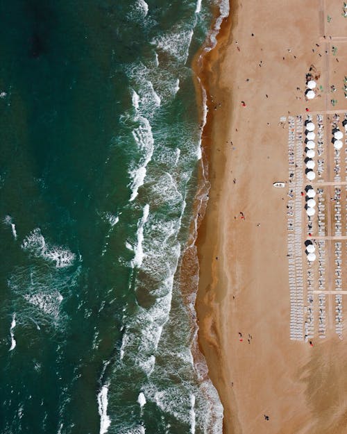 Foto profissional grátis de férias, fotografia aérea, litoral