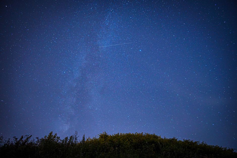 # 紫微星坐命完整解析:帝王之命的光芒與責任
