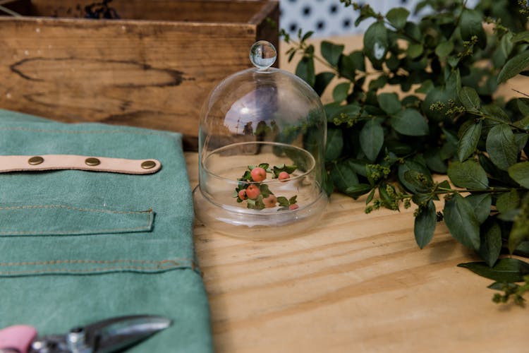 Green Leaves On Clear Glass Container