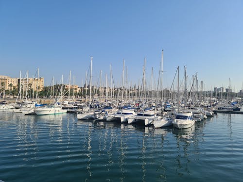 White and Blue Boats at the Dock During Daytime