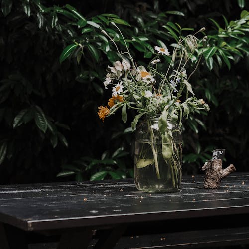 คลังภาพถ่ายฟรี ของ การถ่ายภาพพืช, ดอกไม้, เหยือกแก้ว