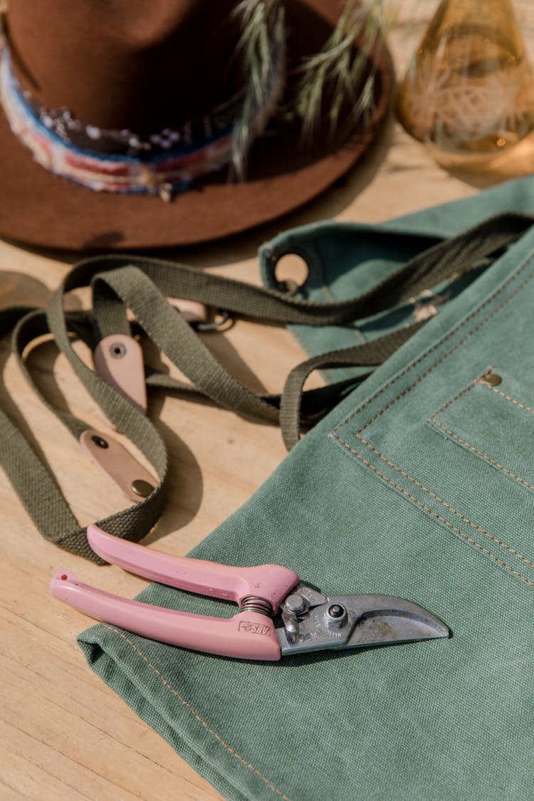 Pink And Gray Pruning Shears