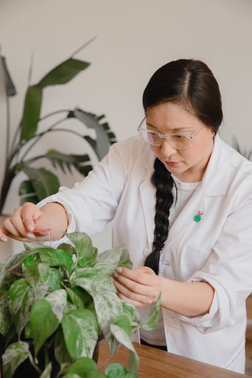 Free Female scientist examines plants in lab environment, focusing on plant growth. Stock Photo