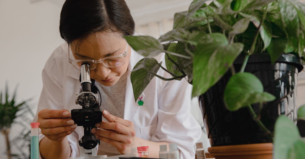 科技:為什麼追求社經地位不如發展專長?專家研究揭示真相