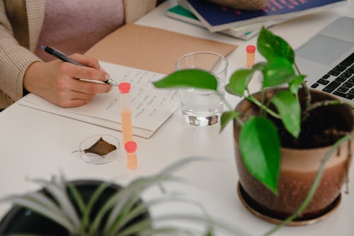 A Person Writing on White Paper