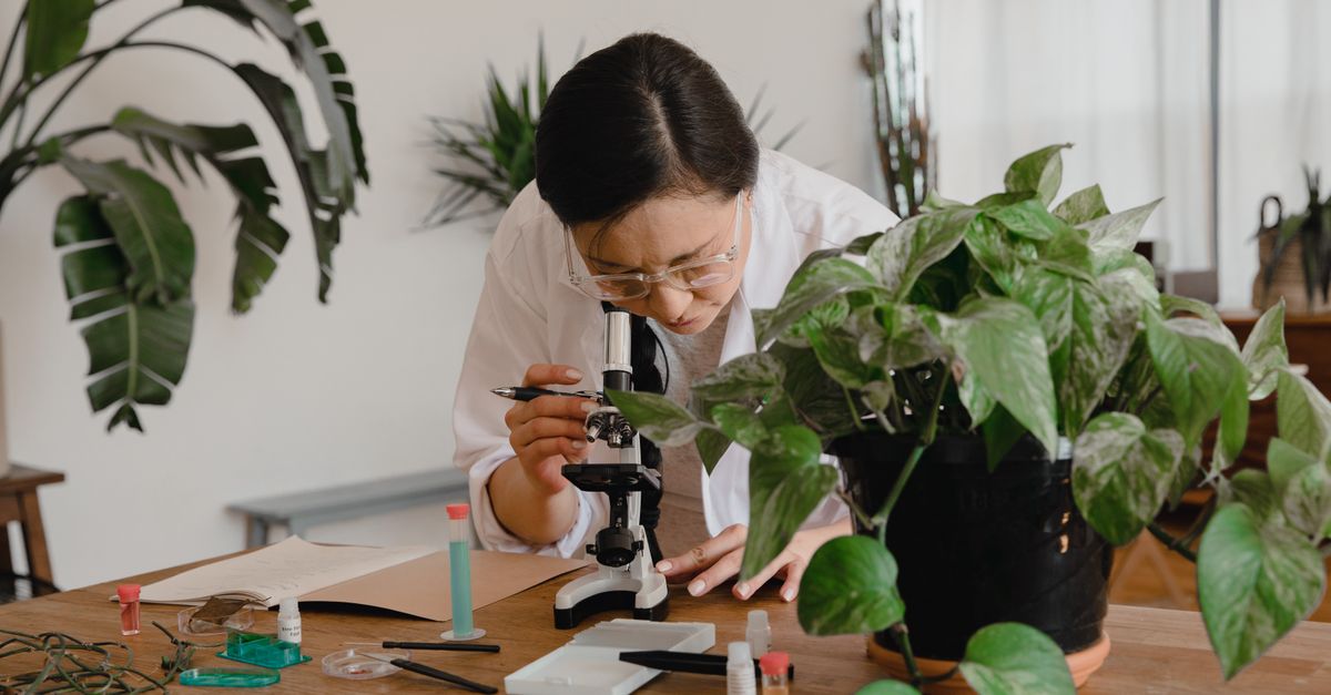 Plant survey