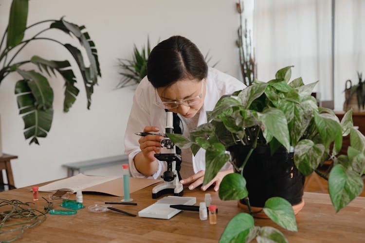 Female Scientist Looking Through A Microscope