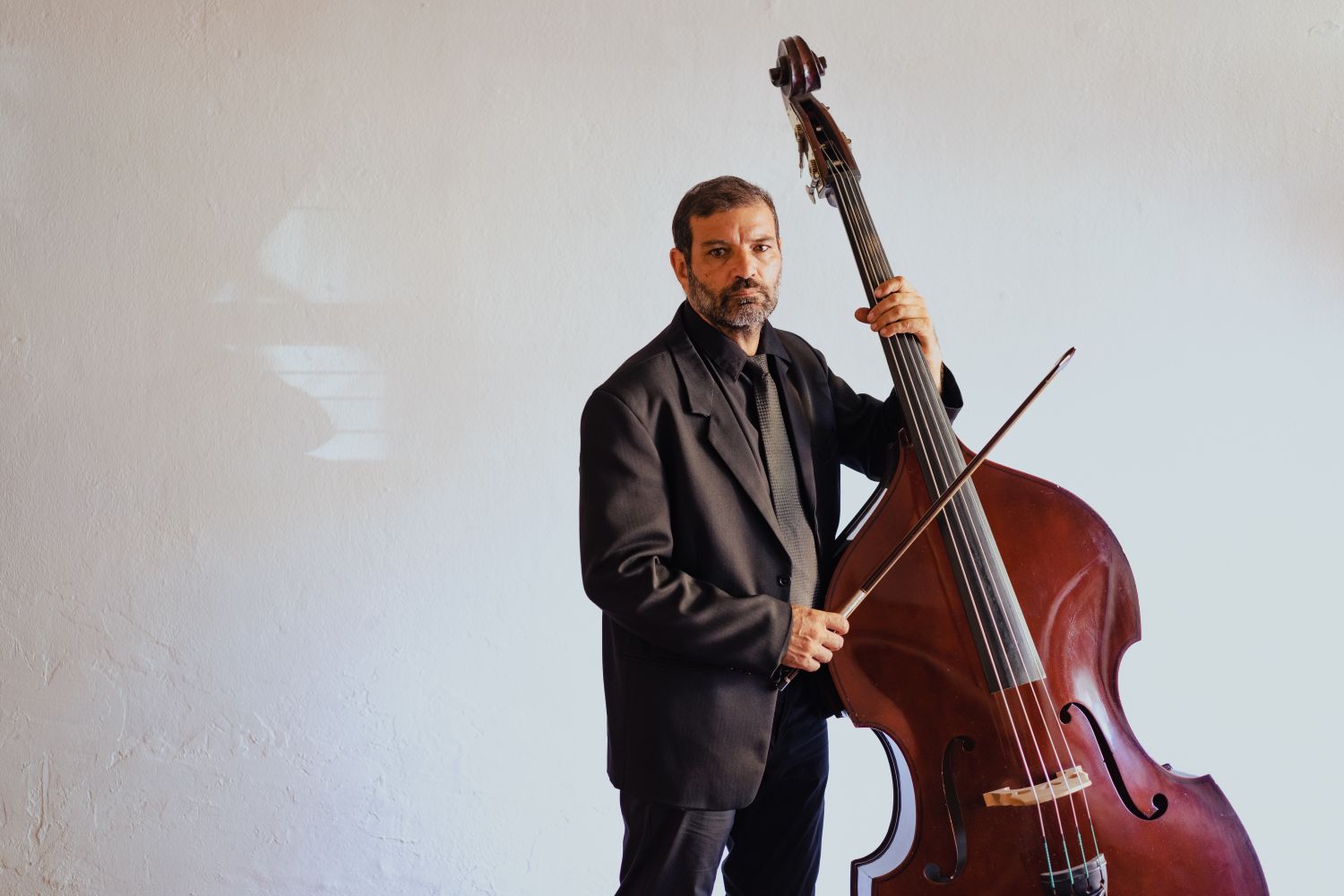 Double bass and orchestral setup