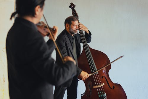 Foto profissional grátis de clássico, homens, instrumento musical