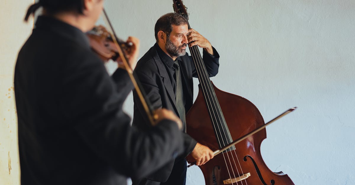 Musicians Playing Stringed Instrument · Free Stock Photo