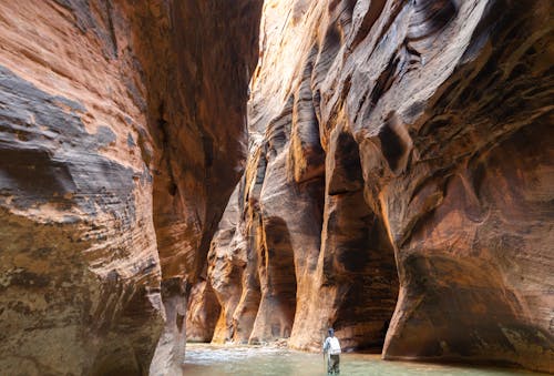 Free stock photo of adventure, big spring, canyons