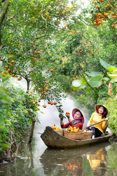 Бесплатное стоковое фото с азиатские женщины, апельсины, вертикальный выстрел