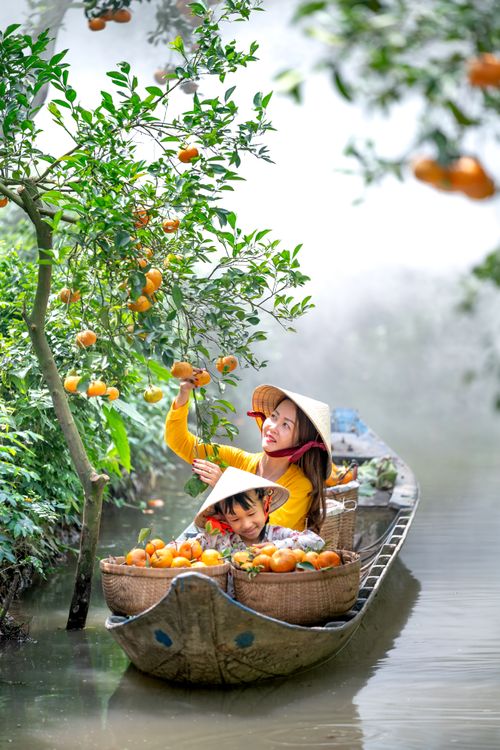 Free A mother and daughter pick oranges from a tree while riding a boat on a river. Stock Photo